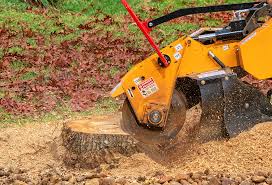 How Our Tree Care Process Works  in  South Venice, FL